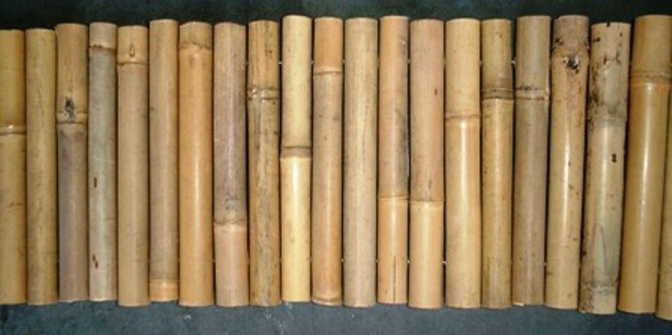 Bamboo Commercial Grade Even Style Garden Border Edging- Sold In 10' Lengths